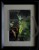 IMG_20230828_101351-1.jpg